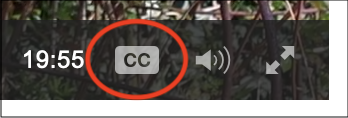 Podcasts captions cc button podcasts captions cc button