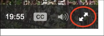 Podcasts captions fullscreen button podcasts captions fullscreen button