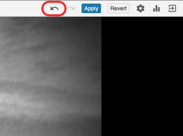 Image highlighting the undo action icon in the online editor